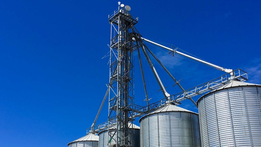 Wifi wireless dishes atop a grain silo tower in Dalby