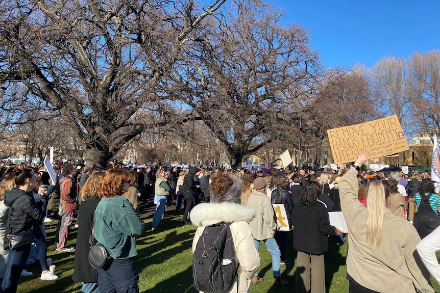 A crowd of people protesting under bare deciduous trees and a blue sky.