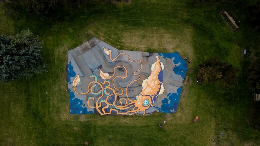 The large skatepark mural — seen from above — looks small in comparison to its grassy surrounds.