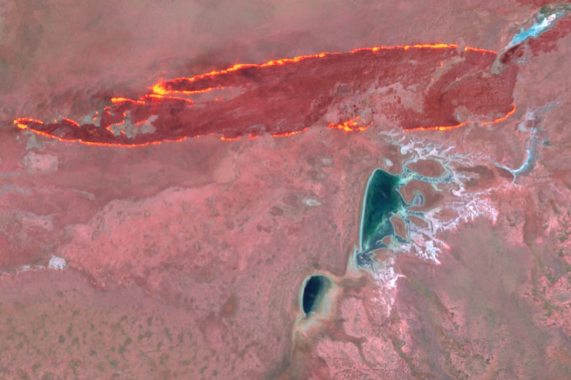 Satellite image of fire front in Tanami desert
