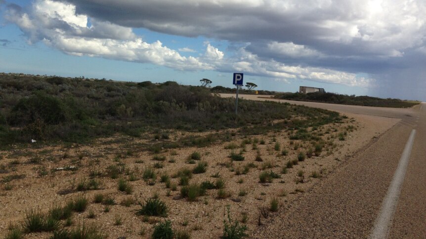 Animal Cruelty on Eyre Highway