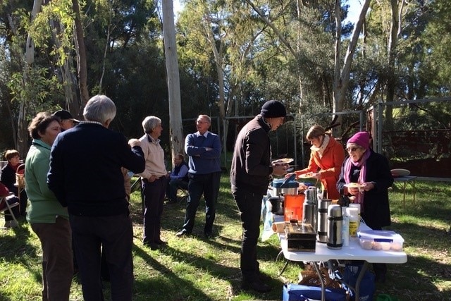 People wearing beanies, scarves, standing around some gum trees talking, some sitting on a sunny day.