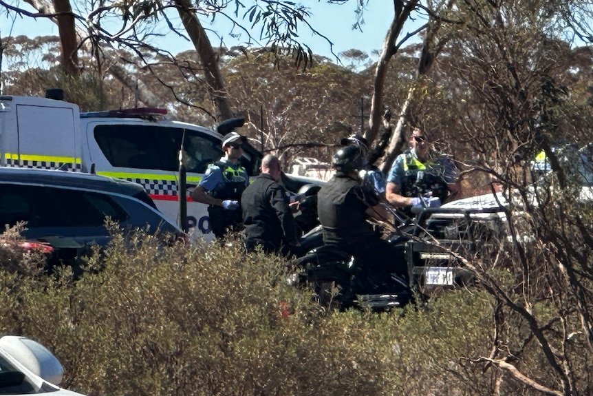 Police during a traffic stop with bikies.  