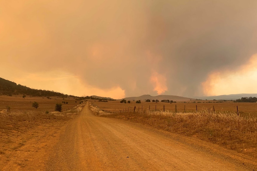 The view from Braidwood of smoke from the Tallaganda forest fire.