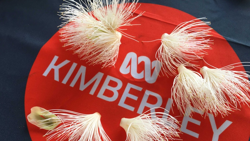 Fluffy white flowers decorate the ABC Kimberley sign