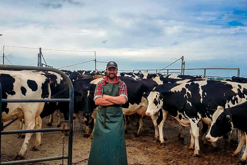 Luke Ritchie stands in front of a herd of cows.