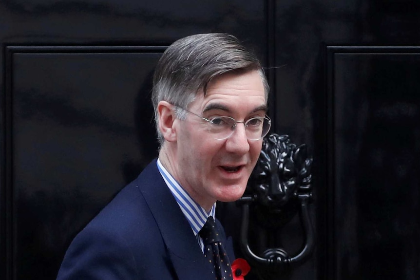 Jacob Rees-Moog looks at the camera outside Downing Street