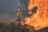 A firefighter standing in front of burning bushland