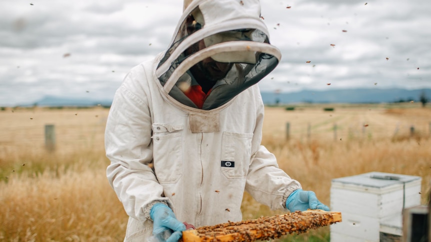 a man wearing protective clothing holding a hive of bees.