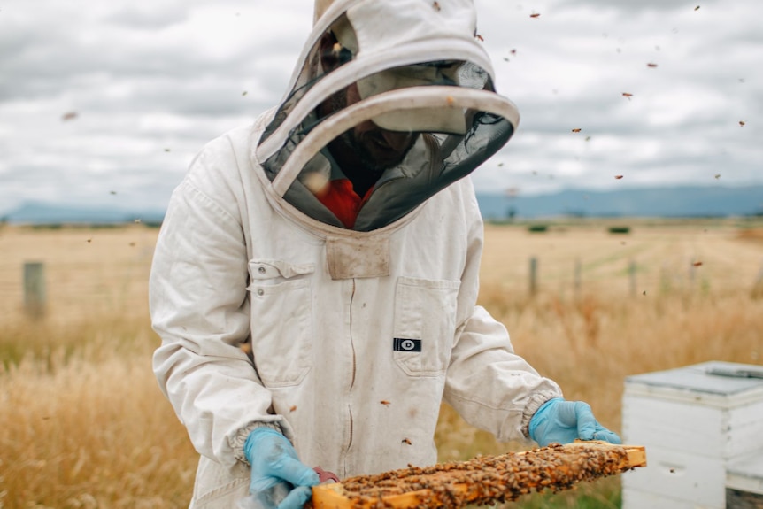 a man wearing protective clothing holding a hive of bees.