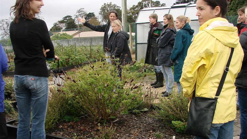 Touring the Exeter Primary School garden in northern Tasmania