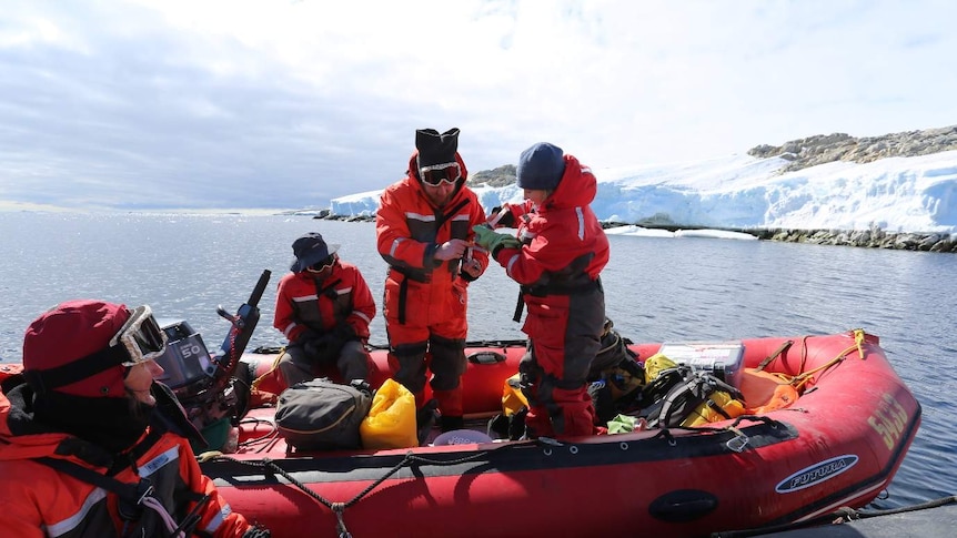 Dianne Jolley's team collect water samples on a boat in Antarctica.