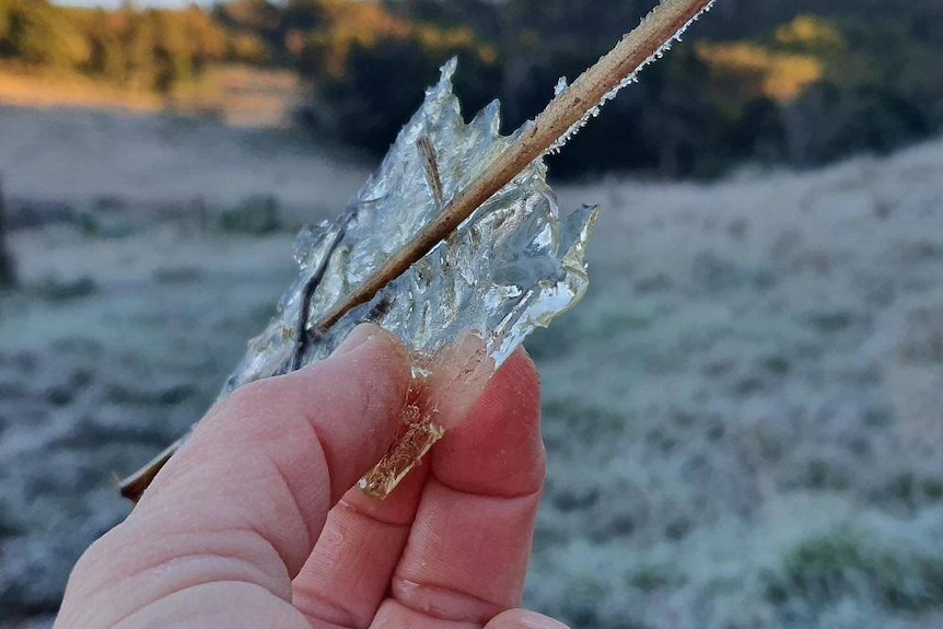 A hand holding a shard of ice after a cold night.