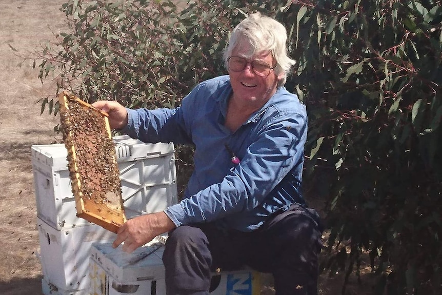 A beekeeper sitting down working.