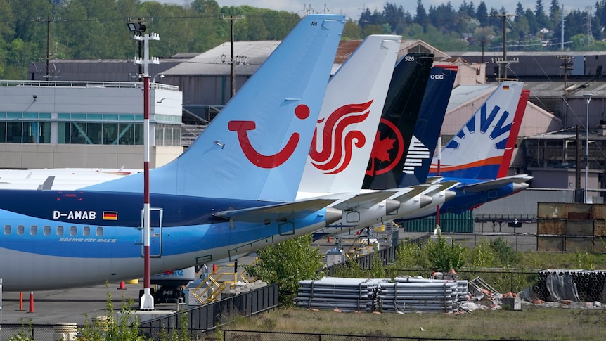 The tails of several planes with various airline logos sit alongside each other
