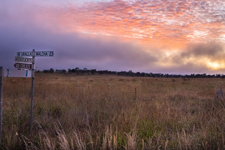 A landscape shot of a paddock at sunset with an orange and purple sky and a sign post in the left side pointing to Walcha