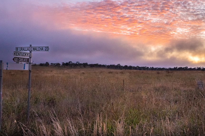 A landscape shot of a paddock at sunset with an orange and purple sky and a sign post in the left side pointing to Walcha