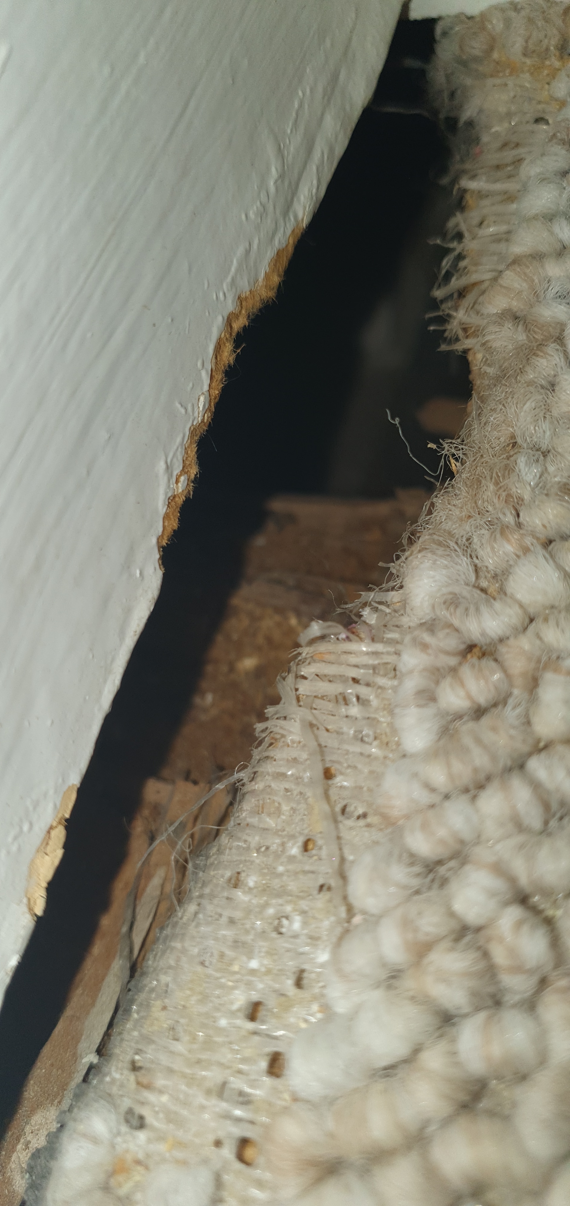 Lo que parece un agujero entre el suelo y la pared de una propiedad 