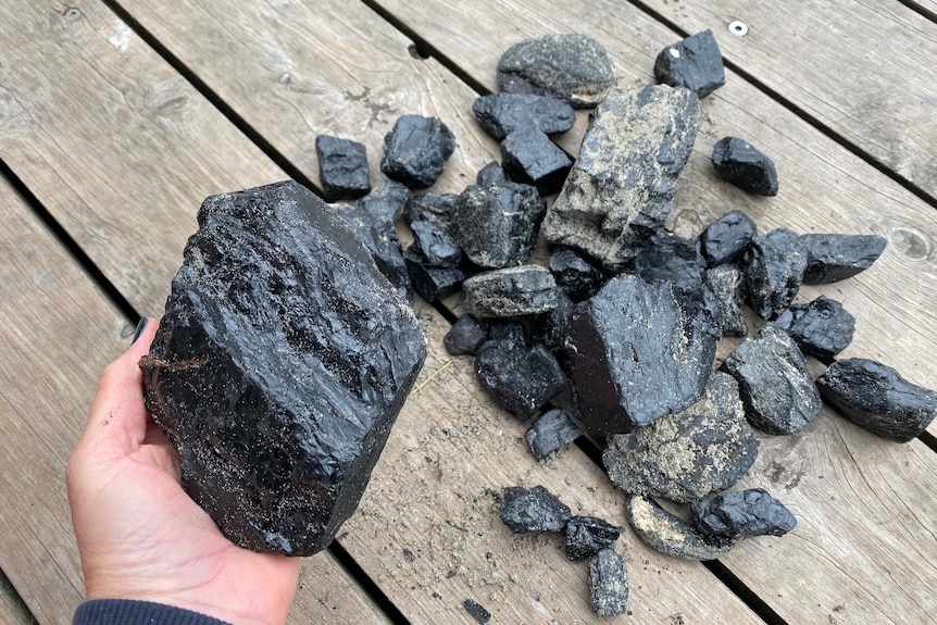 A close up of hand with a large lump of coal, and smaller pieces on a wooden table.
