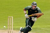 No nerves ... Michael Hussey (File photo)