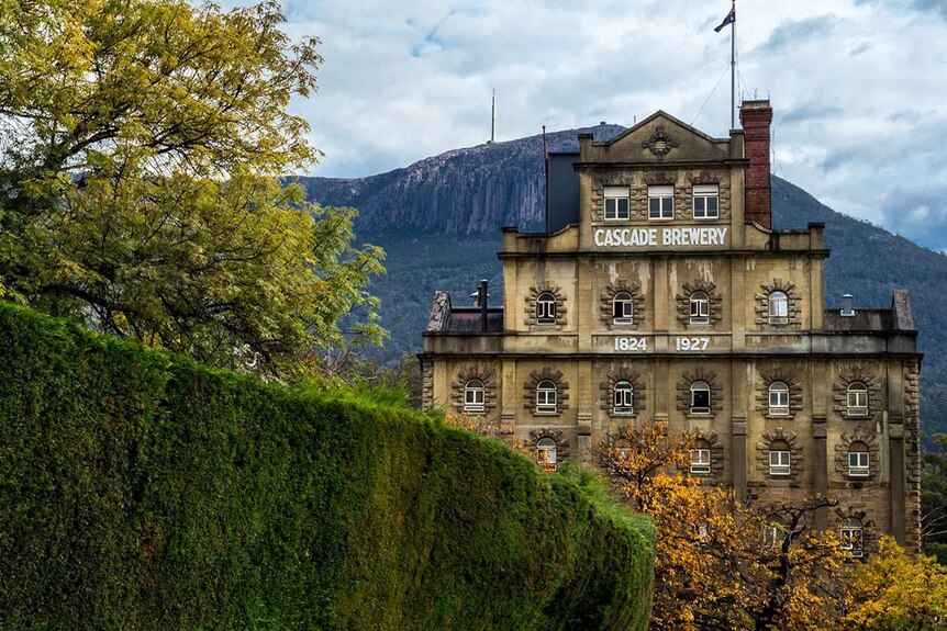 Cascade Brewery considers selling 250 hectares of bushland.