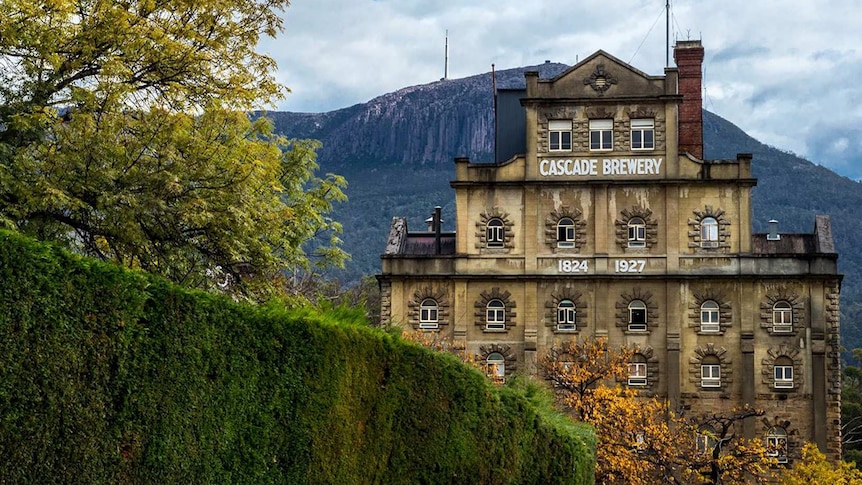Cascade Brewery considers selling 250 hectares of bushland.