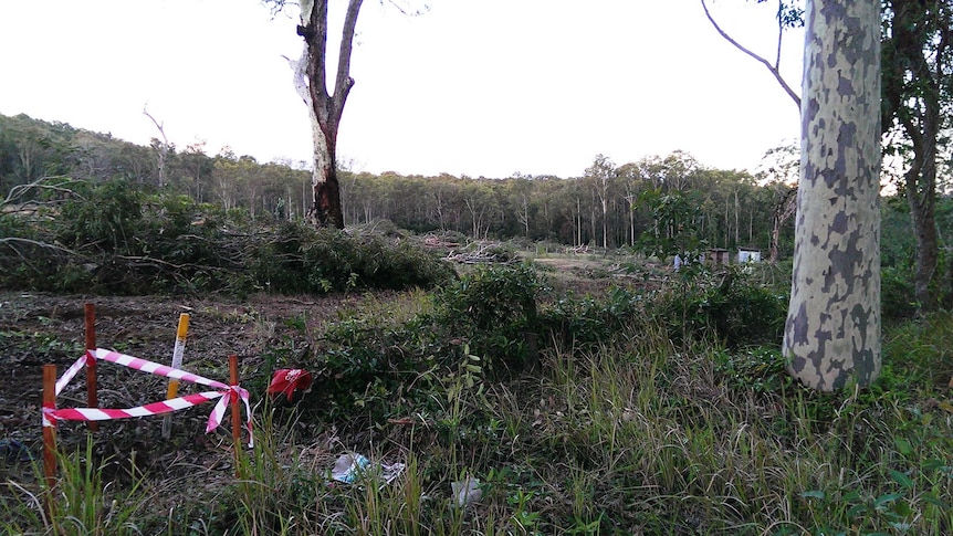 Wadalba land clearing on the NSW Central Coast.