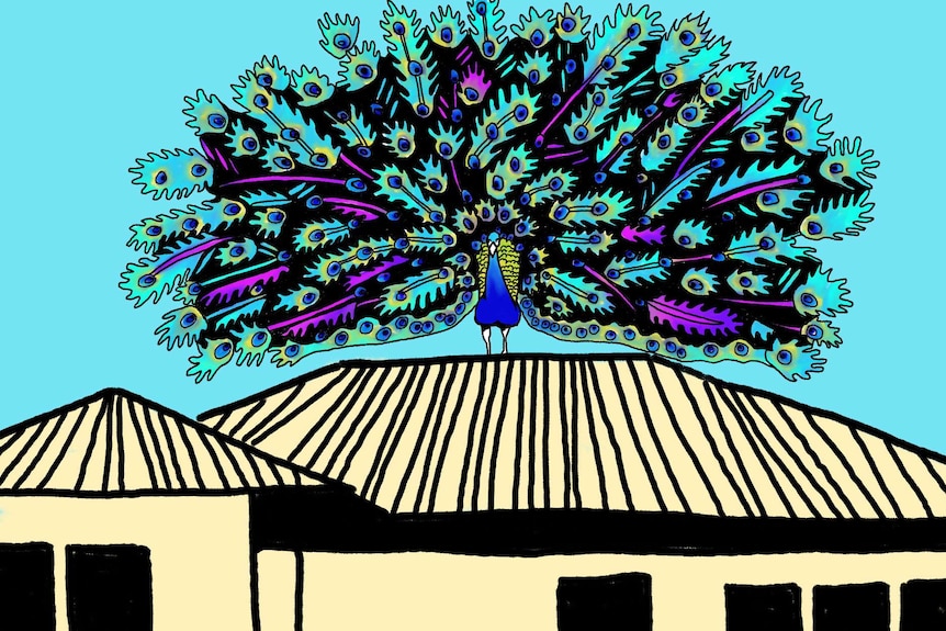 A graphic of a bright peacock on a roof.