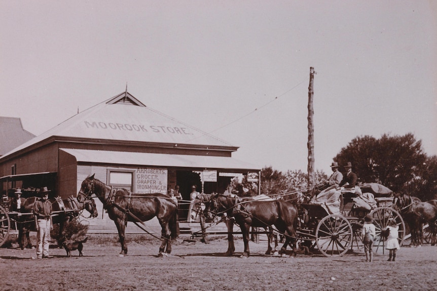 An old sepia picture, a horse drawn carriage sits in front of a building titled Moorook Store on the roof