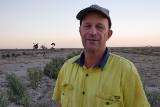 David Thompson standing in front of rows of saltbush