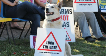 Fullerton Cove coal seam gas drill site Lock The Gate protest