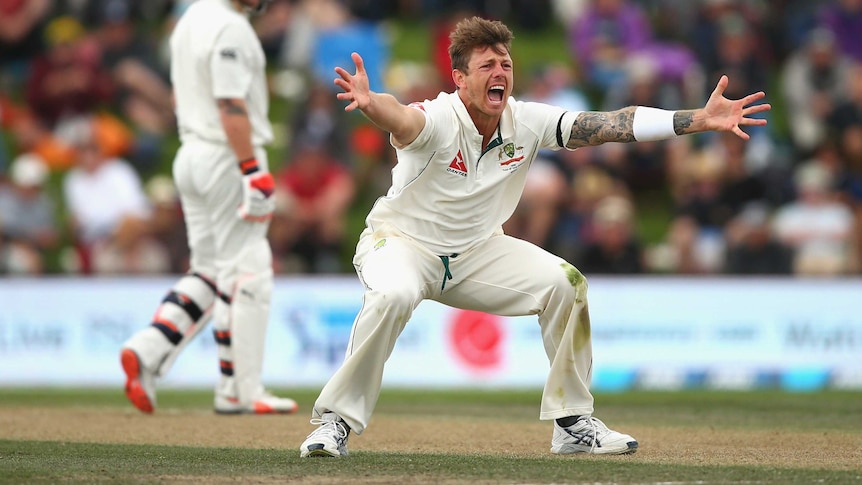Australia's James Pattinson appeals for the wicket of NZ's Brendon McCullum