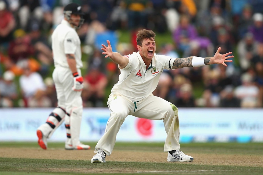 Australia's James Pattinson appeals for the wicket of NZ's Brendon McCullum in Christchurch.