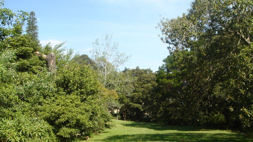 The grounds of Graythwaite estate North Sydney.
