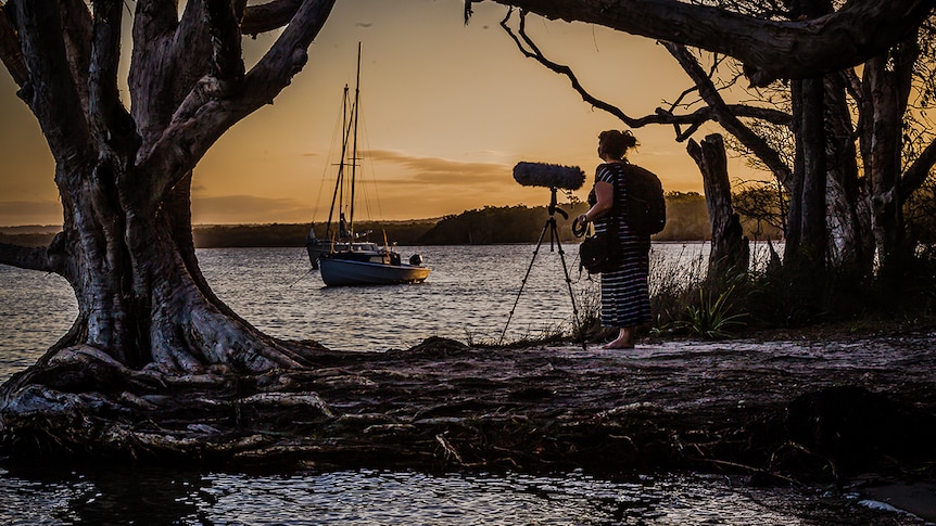 A photograph of an Australian wetland at sunset, a women records sound framed by trees with two boats in the background.
