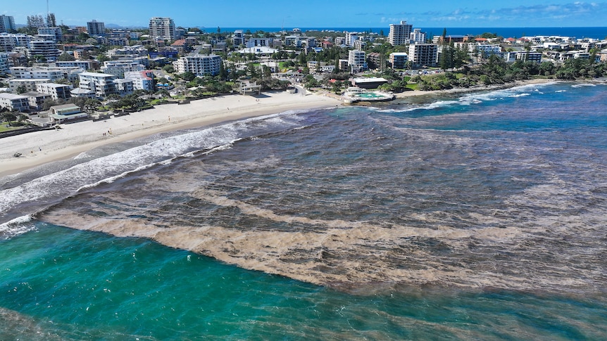 Aerial photo of the beach with brown sludge throughout a section of the water