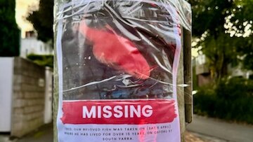 A missing poster of a goldfish on a post