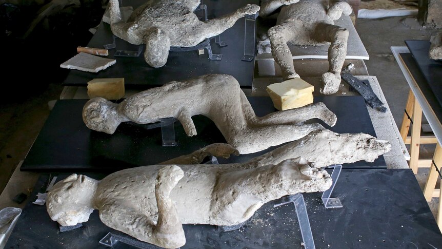 Plaster cast moulds of victims of the Mount Vesuvius eruption lie on a display table in a laboratory at Pompeii.