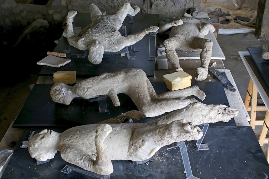 Plaster cast moulds of victims of the Mount Vesuvius eruption lie on a display table in a laboratory at Pompeii.