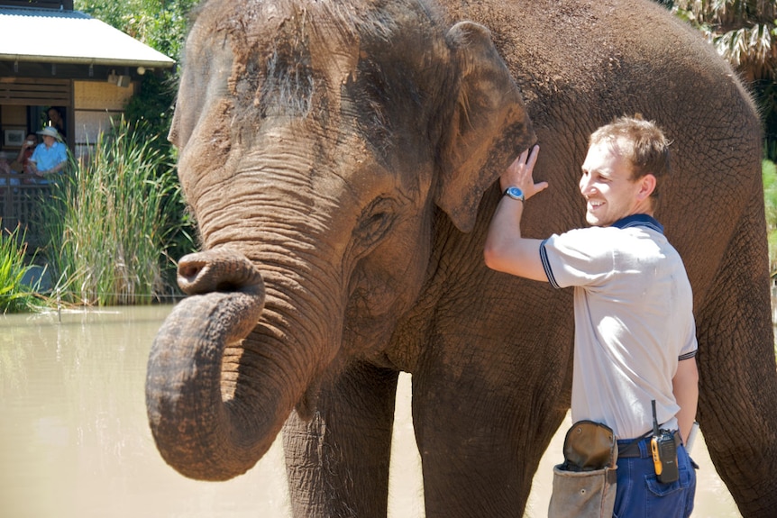 Kulab with Tully Johns, one of Melbourne Zoo's senior elephant keepers.