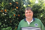 A man is pleased with his citrus orchard, standing in front of orange tree