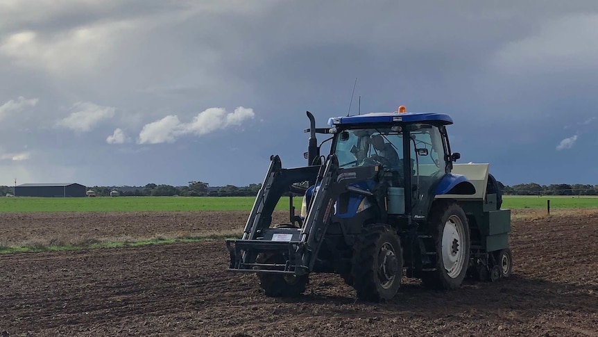 Tractor driving on a field pulling a machine that allows it to sow