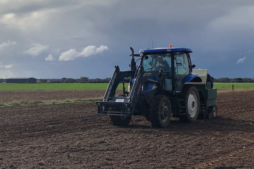 Tractor driving on a field pulling a machine that allows it to sow