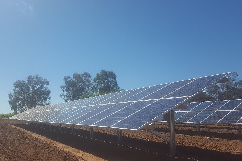 Solar panels in South Australia's Riverland