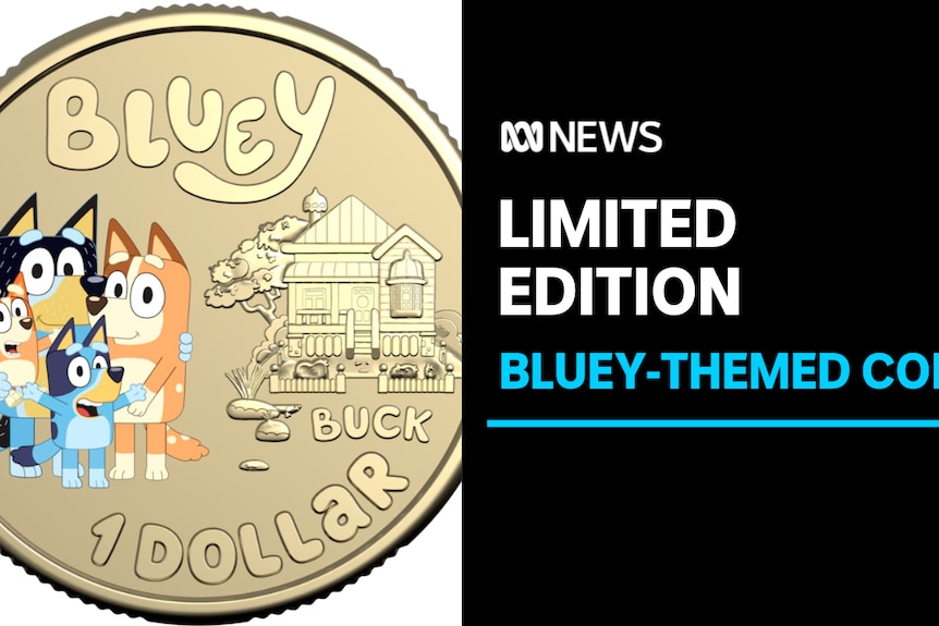 Limited edition, Bluey themed coins: A close up of a goal one dollar coin with four cartoon blue heelers 