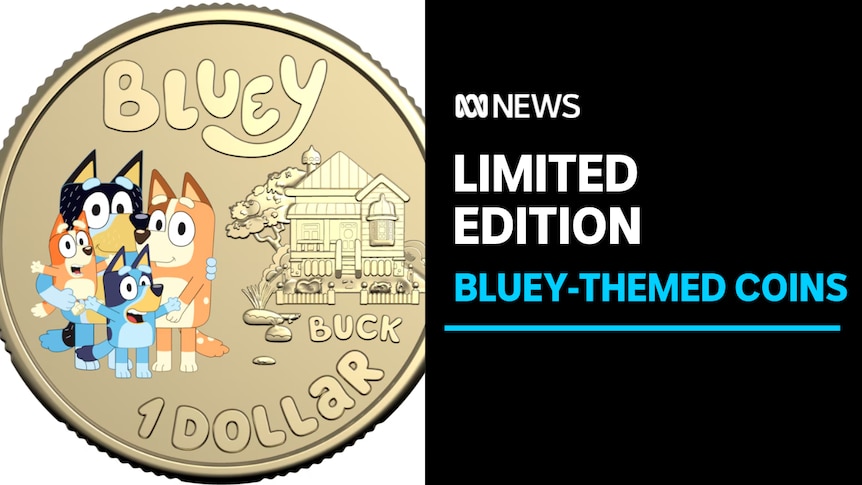 Limited edition, Bluey themed coins: A close up of a goal one dollar coin with four cartoon blue heelers 