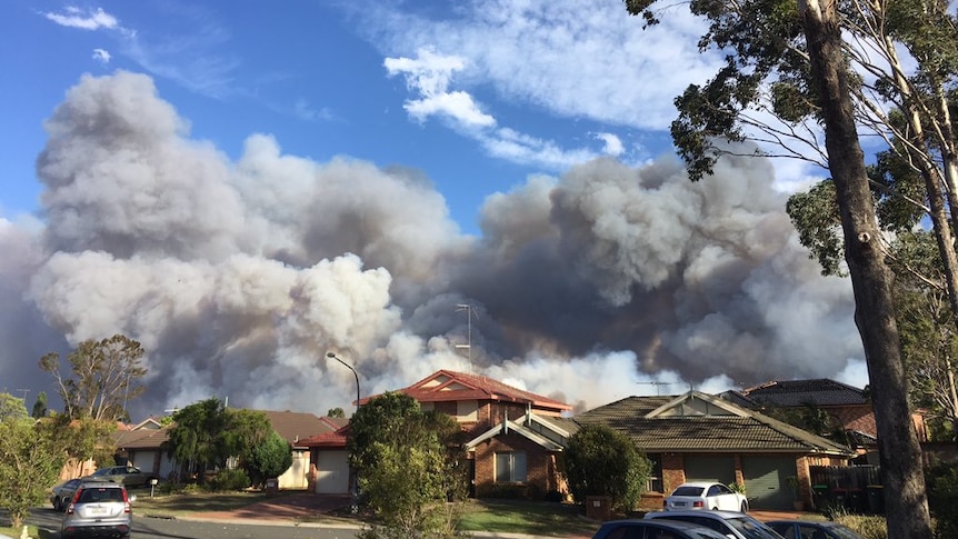 Plumes of smoke over suburban Sydney homes