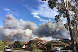 Plumes of smoke over suburban Sydney homes