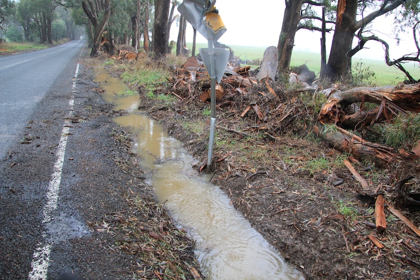 A gutter is full of brown water and a fallen tree has been sawed into pieces beside a bush highway. 