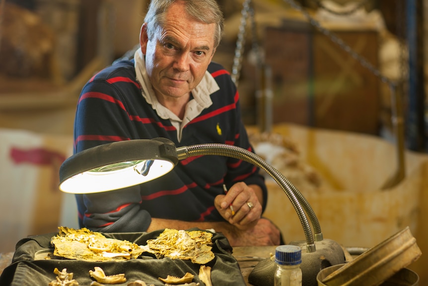 A man with a bright lamp studying some fossils